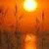 srakaklan's picture